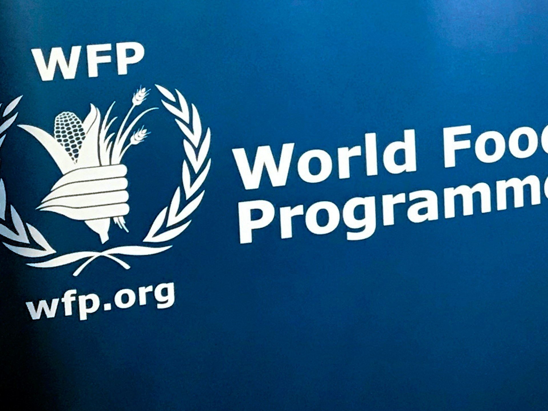 “هذا يجب أن يتوقف الآن”: يدين جسم الغذاء الأمم المتحدة هجمات RSF في مقر السودان | أخبار حرب السودان