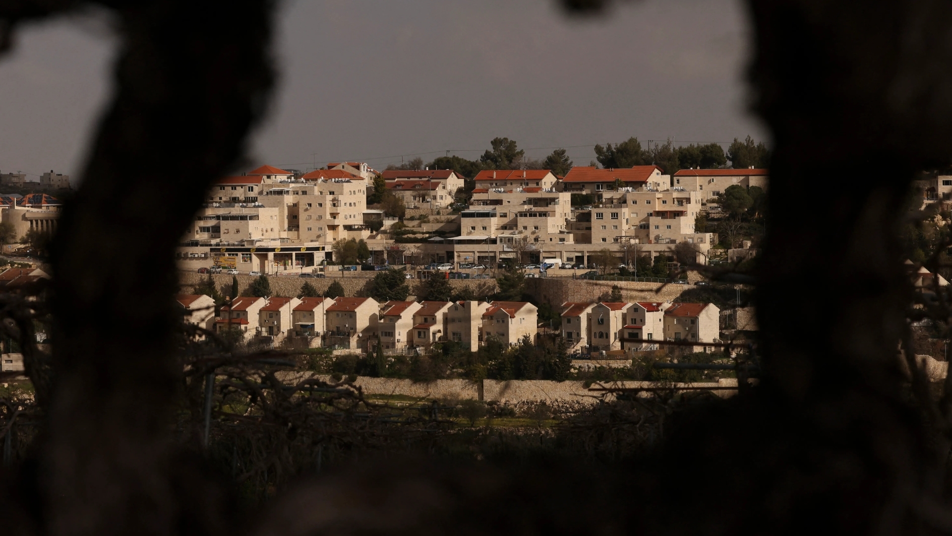 هل تخرج الدولة الفلسطينية عن المستوطنات غير القانونية لإسرائيل؟ | أخبار